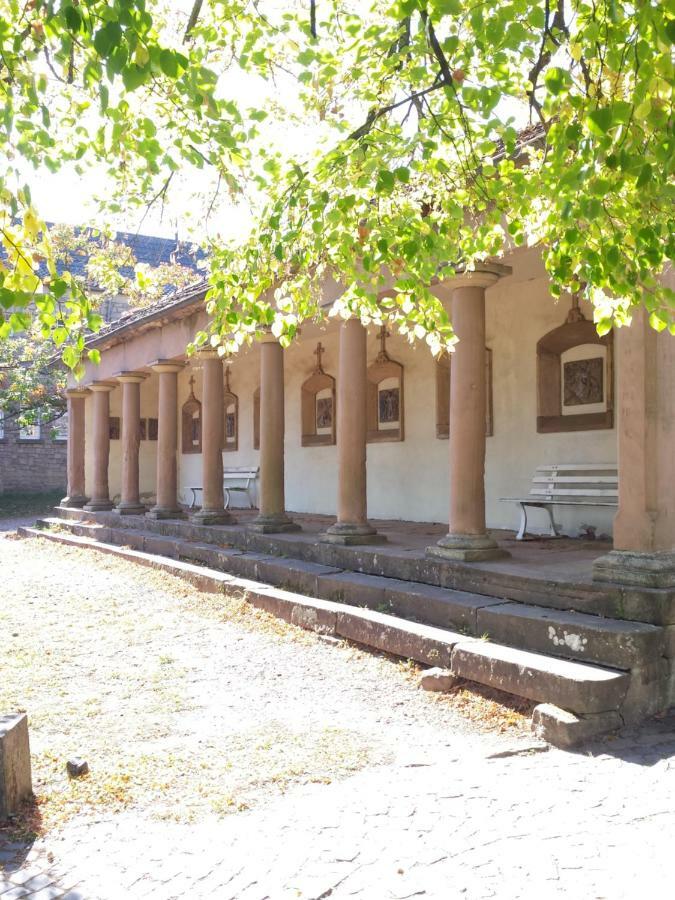 בליסקסטל Moderne Wohnung In Barockem Altstadthaus Nahe Altstadt Und Radweg מראה חיצוני תמונה