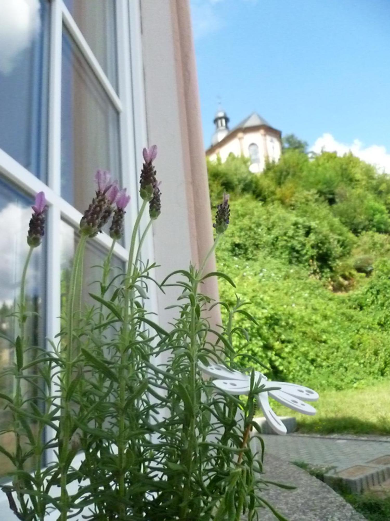 בליסקסטל Moderne Wohnung In Barockem Altstadthaus Nahe Altstadt Und Radweg מראה חיצוני תמונה