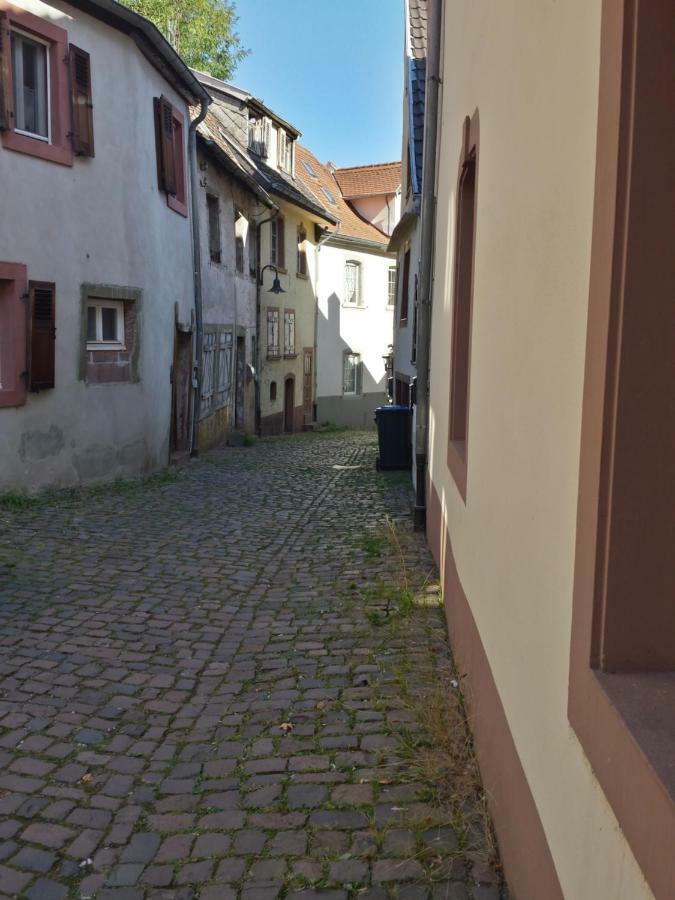 בליסקסטל Moderne Wohnung In Barockem Altstadthaus Nahe Altstadt Und Radweg מראה חיצוני תמונה